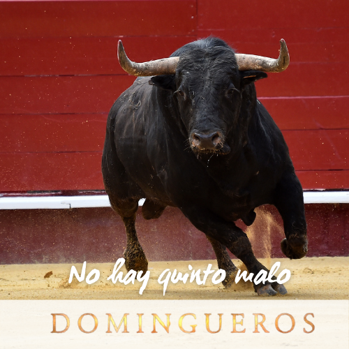 Domingueros - No hay quinto malo