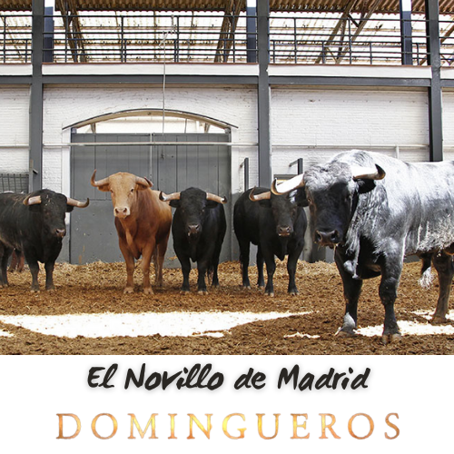 Domingueros - El novillo de Madrid