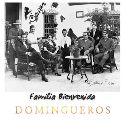 Domingueros - Familia Bienvenida