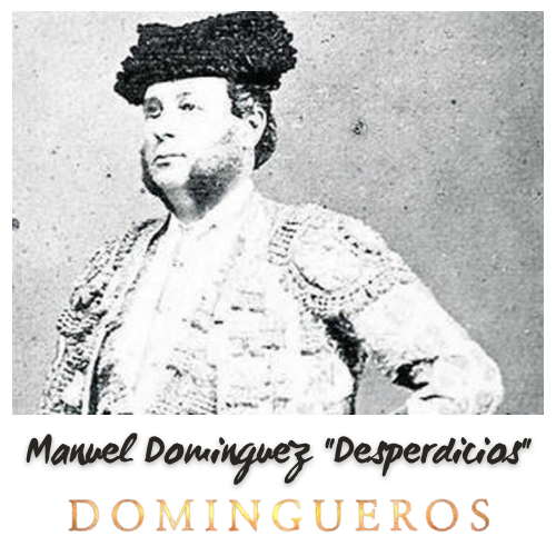 Manuel Dominguez "Desperdicios"